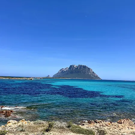 Villa Alzoni San Teodoro (Sardinia)