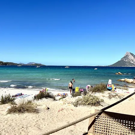 Sardegna Alzoni Villa San Teodoro (Sardinia)