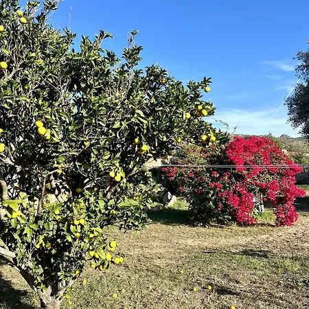 Sardegna Alzoni Villa