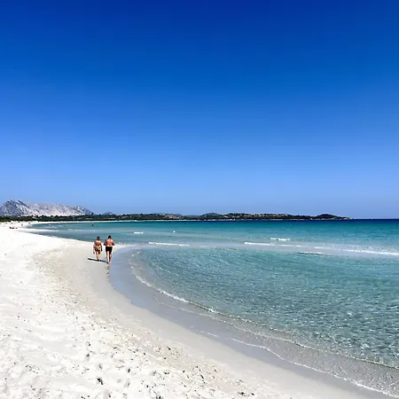 Alzoni San Teodoro (Sardinia)