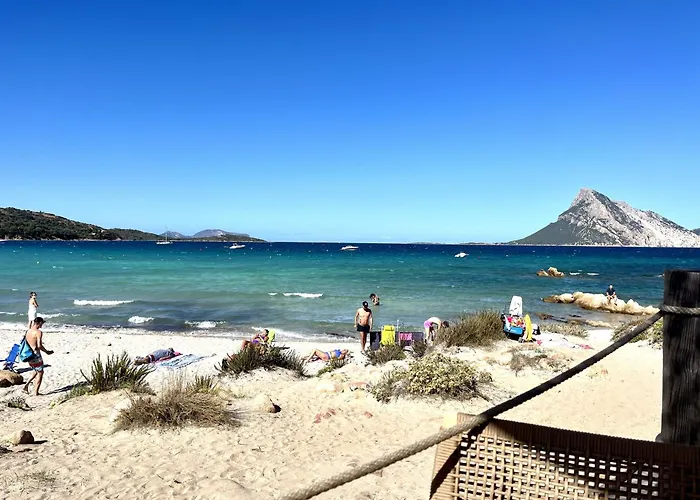Alzoni Villa San Teodoro