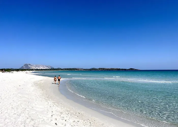 Alzoni San Teodoro